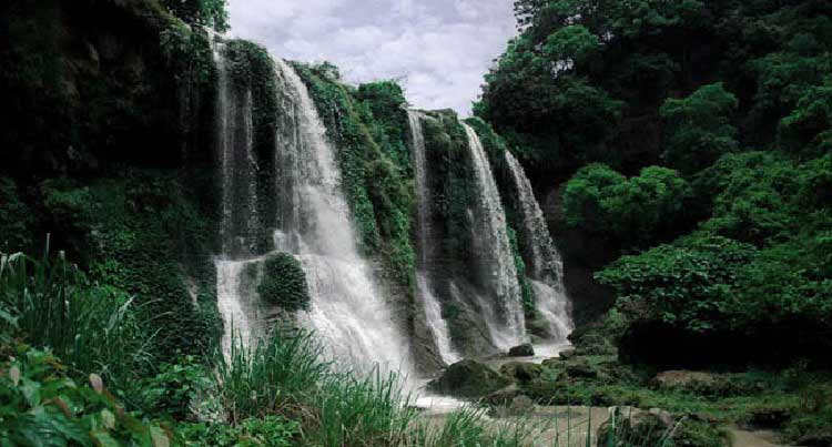 ঘুরে আসুন সীতাকুণ্ড ইকোপার্ক

