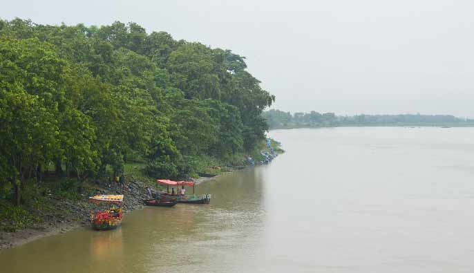 সবুজ সৌন্দর্যের হাতছানি সোনাগাজীর মুহুরী প্রকল্প