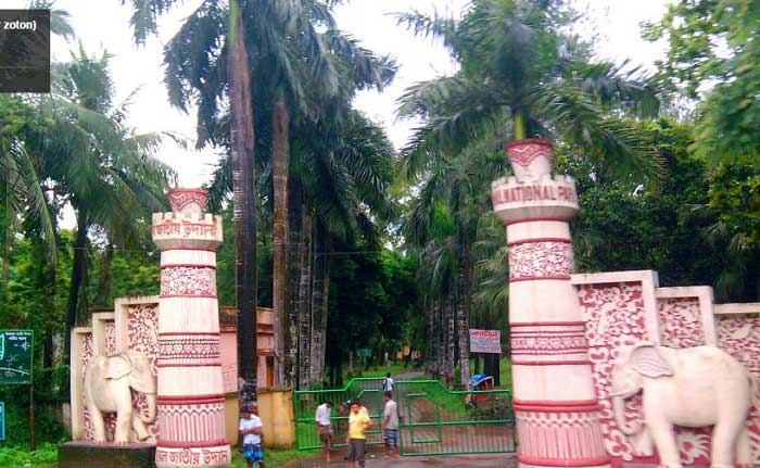 ঘুরে আসুন জাতীয় উদ্যান

