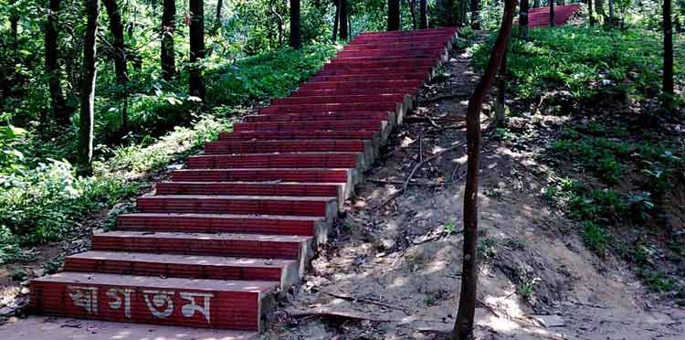 বাটালি হিলের চূড়ায় মুগ্ধতা
