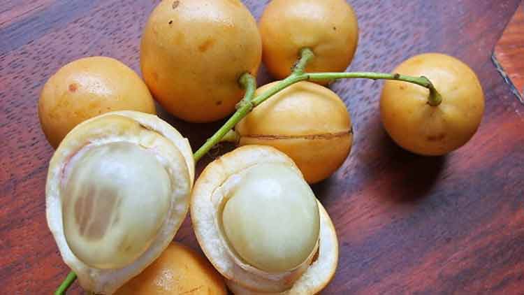লটকনের নানা উপকারিতা
